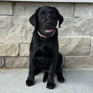 Betty